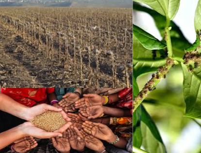 Nigerian Farmers challenges